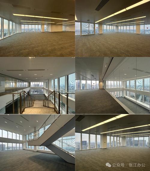 張江高科集鼎天地 上海集成電路設(shè)計(jì)產(chǎn)業(yè)園引領(lǐng)芯潮澎湃與軟件開(kāi)發(fā)新未來(lái)